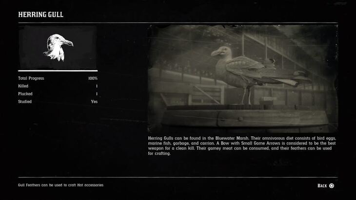 Hunting Page 9 - Red Dead Redemption 2 Walkthrough - Neoseeker