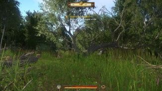 Kingdom Come Deliverance: The Die is Cast Main Quest Walkthrough