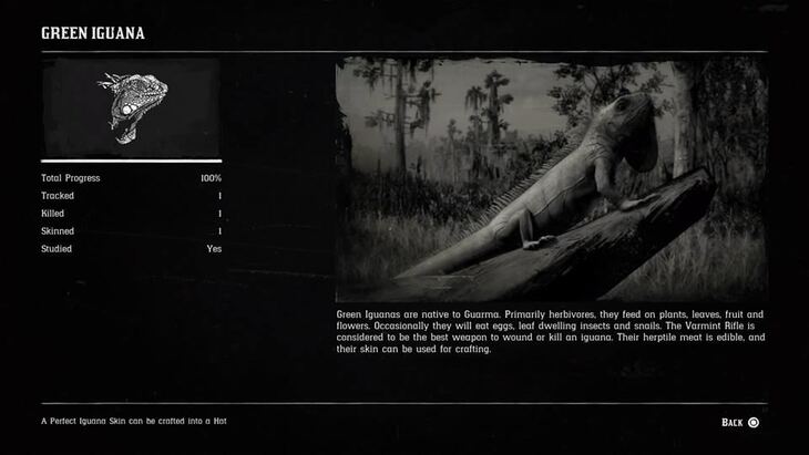 Hunting Page 5 - Red Dead Redemption 2 Walkthrough - Neoseeker