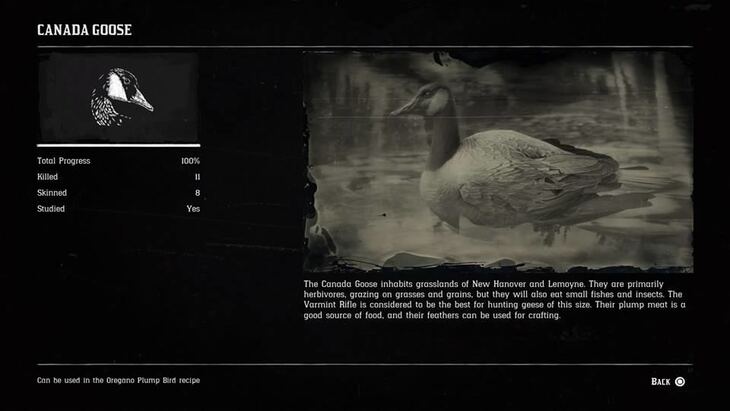 Hunting Page 5 - Red Dead Redemption 2 Walkthrough - Neoseeker