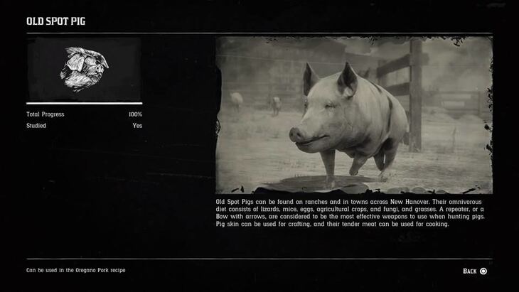 Hunting Page 7 - Red Dead Redemption 2 Walkthrough - Neoseeker