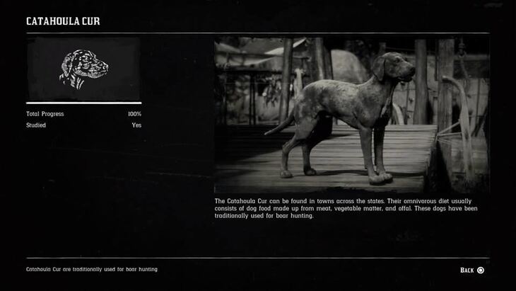 Hunting Page 3 - Red Dead Redemption 2 Walkthrough - Neoseeker