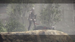 Featured image of post Wandering Couple Nier Refuse