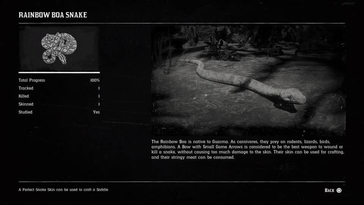 Hunting Page 9 - Red Dead Redemption 2 Walkthrough - Neoseeker