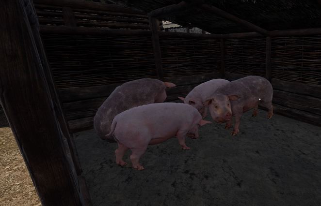 662px-MedievalD_Pigs.jpg