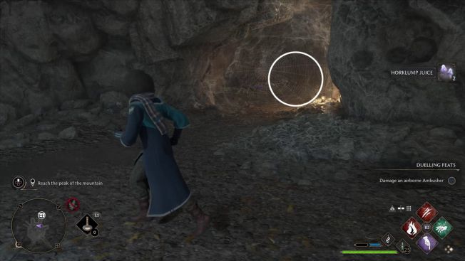 Phoenix Rising - Hogwarts Legacy Walkthrough - Neoseeker