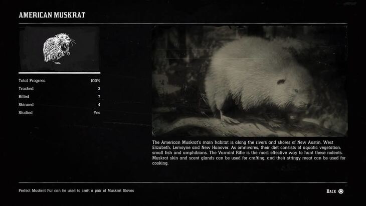 Hunting Page 6 - Red Dead Redemption 2 Walkthrough - Neoseeker
