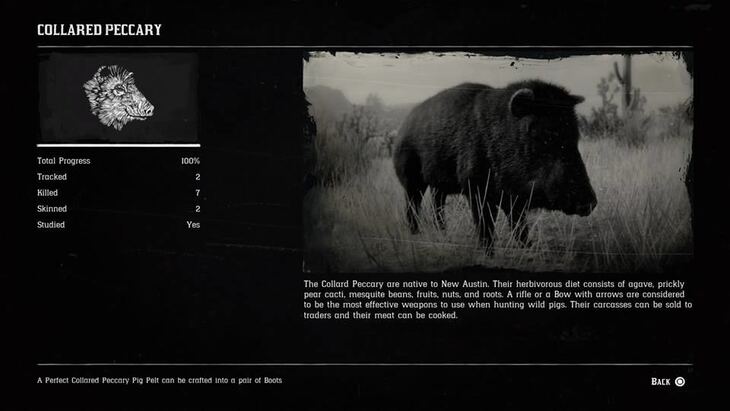 Hunting Page 5 - Red Dead Redemption 2 Walkthrough - Neoseeker