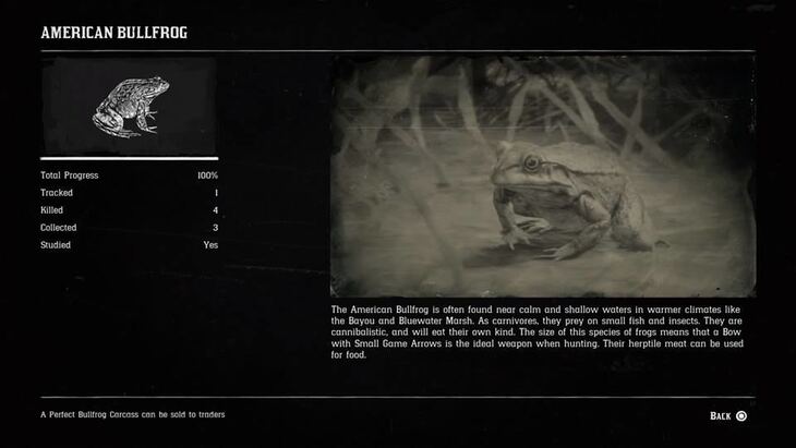 Hunting Page 2 - Red Dead Redemption 2 Walkthrough - Neoseeker