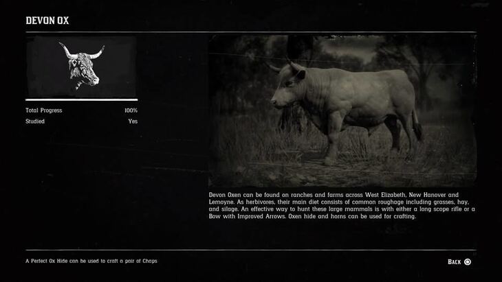 Hunting Page 6 - Red Dead Redemption 2 Walkthrough - Neoseeker