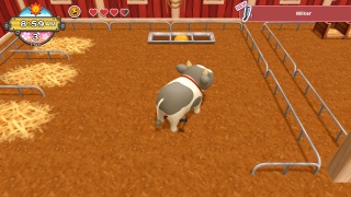 Harvest Moon One World Animal Care Neoseeker