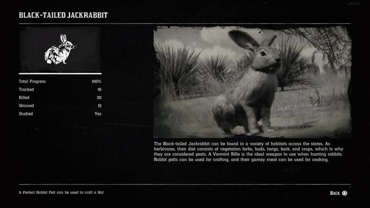 Hunting Page 8 - Red Dead Redemption 2 Walkthrough - Neoseeker