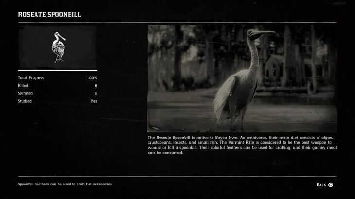 Hunting Page 9 - Red Dead Redemption 2 Walkthrough - Neoseeker
