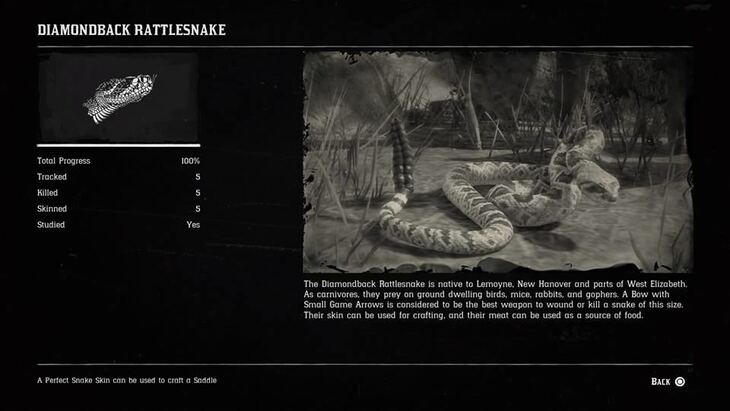 Hunting Page 9 - Red Dead Redemption 2 Walkthrough - Neoseeker