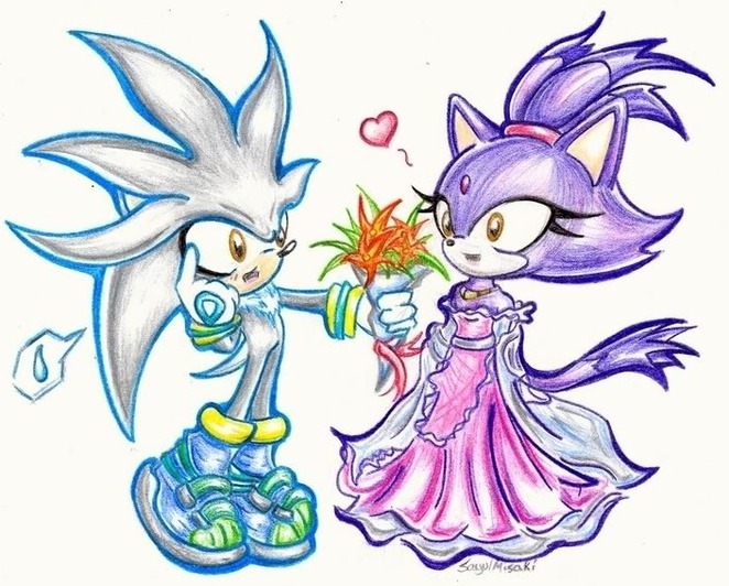 Blaze&Silver forever from Amethyst10 - hosted by Neoseeker