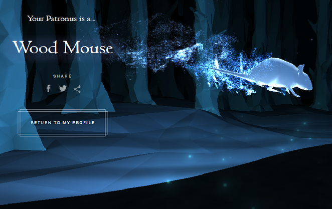 Team USA on X: We took the Pottermore Patronus quiz.No