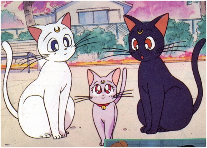 Cats - Anime Forum - Neoseeker Forums