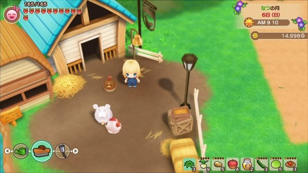 story of seasons friends of mineral town preorder bonus