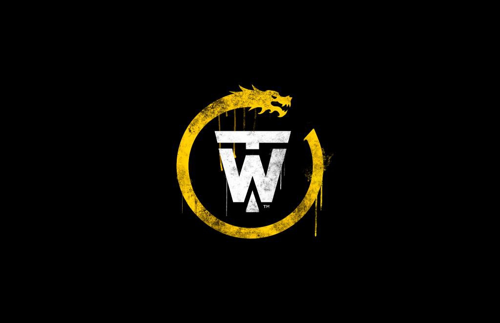 United Front Games, developers of Sleeping Dogs, to reveal online PC title Triad Wars on Sept