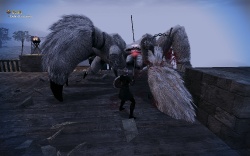 Vindictus screenshots reveal spider boss, non-skanky female warrior ...