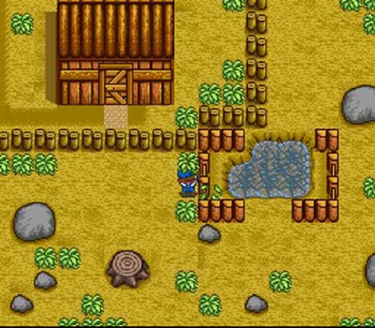 harvest moon snes map