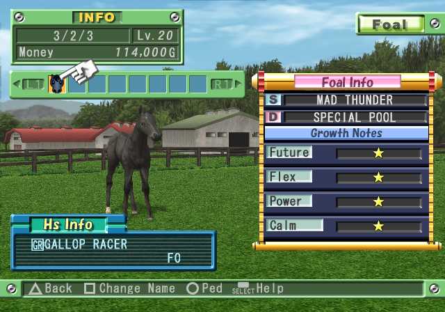 Gallop Racer 2006 Pc Full