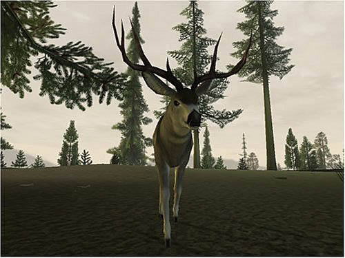 deer hunter 5 tracking trophies rom