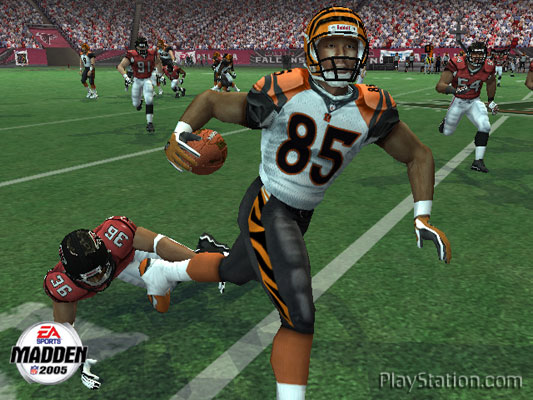 Madden NFL 2005 Photoblog