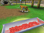 Zoo Tycoon: Dinosaur Digs Screenshots - Neoseeker