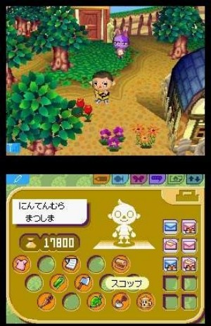 animal crossing games for ds