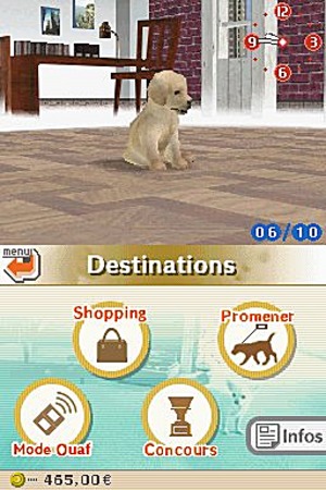 Nintendogs Labrador And Friends Neoseeker