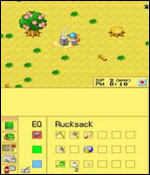 Harvest Moon DS Screenshot