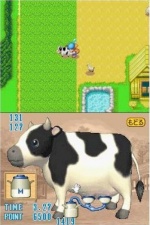 Harvest Moon DS Screenshot