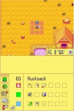 Harvest Moon DS Screenshot