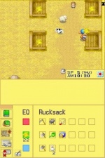 Harvest Moon DS Screenshot