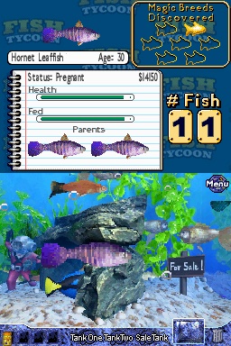 fish tycoon how long are fish pregnant