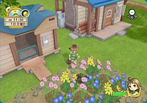 harvest moon tree of tranquility house plots