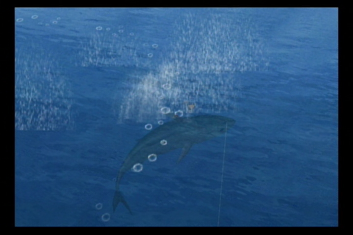 Reel Fishing: Anglers Dream Screenshots - Neoseeker