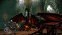 Dragon Age Awakening screens - Image #3069