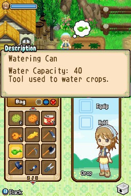 harvest moon tale of two towns action replay code