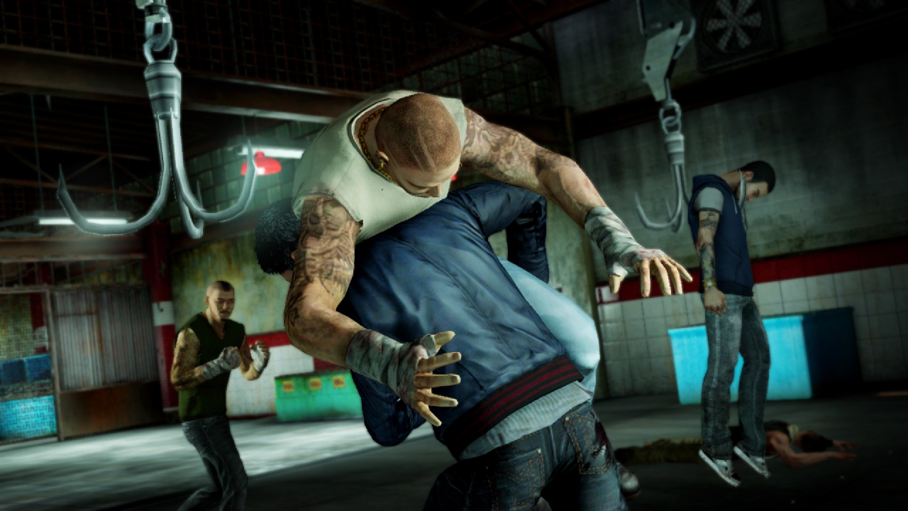 Sleeping Dogs Neoseeker