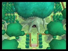 pokemon black screenshots