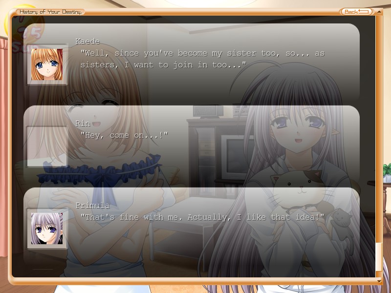 visual novel reader not working