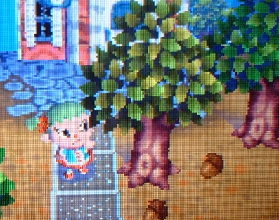 Acorn Festival - Animal Crossing Wiki - Neoseeker