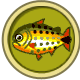 Dorado - Animal Crossing Wiki - Neoseeker