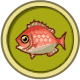 Red Snapper - Animal Crossing Wiki - Neoseeker