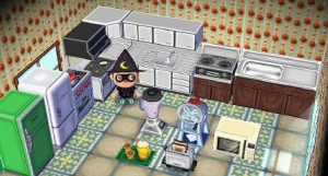 Kitchen Set - Animal Crossing Wiki - Neoseeker