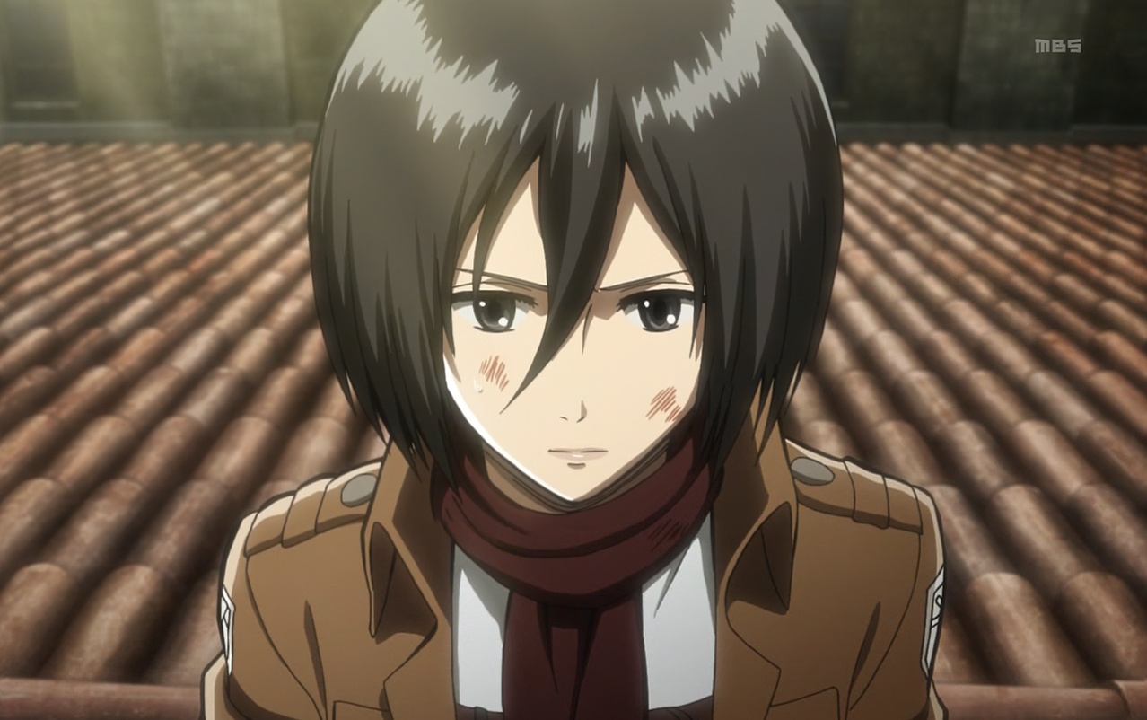 Mikasa Ackerman - Attack on Titan Wiki - Neoseeker