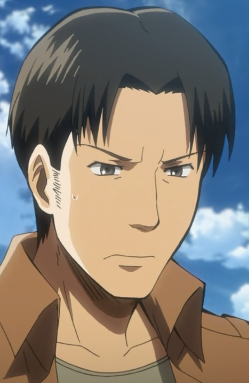 Marco Bodt - Attack on Titan Wiki - Neoseeker