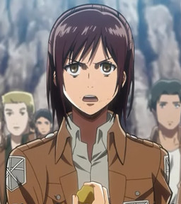 Shingeki No Kyojin, Wiki